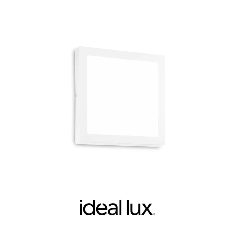 2026_06_12_166149