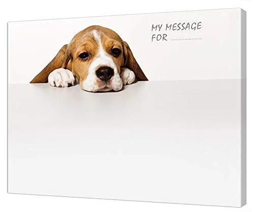 2026_06_12_171152