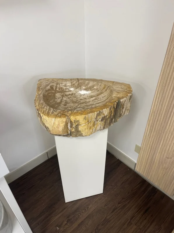 bertolanistore20260612173838136228