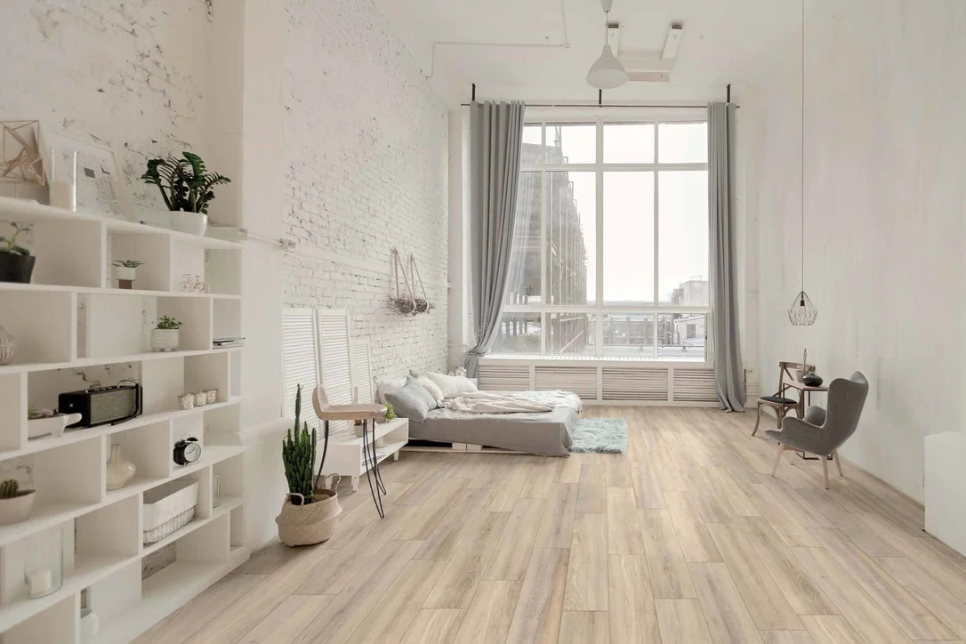 bertolanistore20260612180422139752