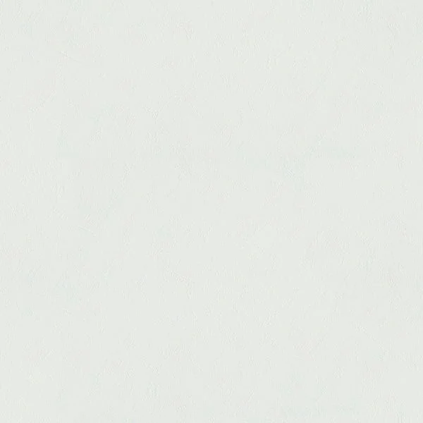 bricoflor20260612193001152647