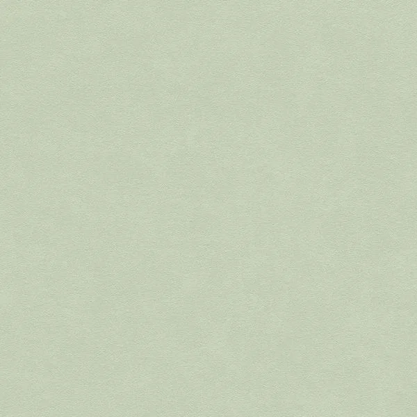 bricoflor20260612201025157947