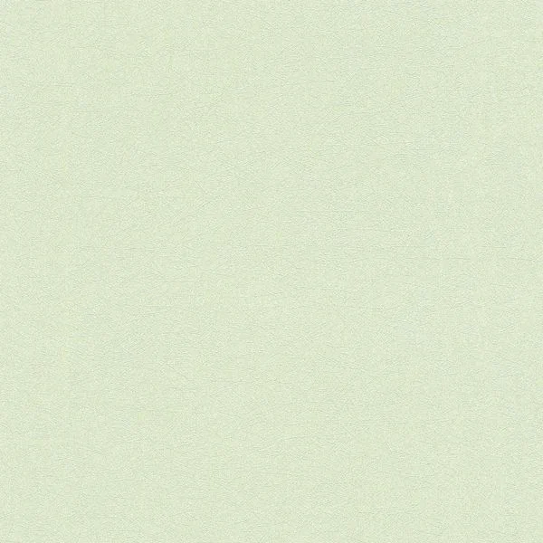 bricoflor20260612201952158899