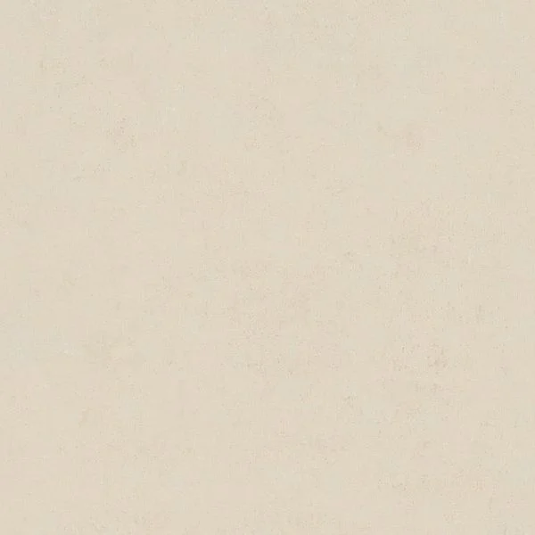 bricoflor20260612213112169589