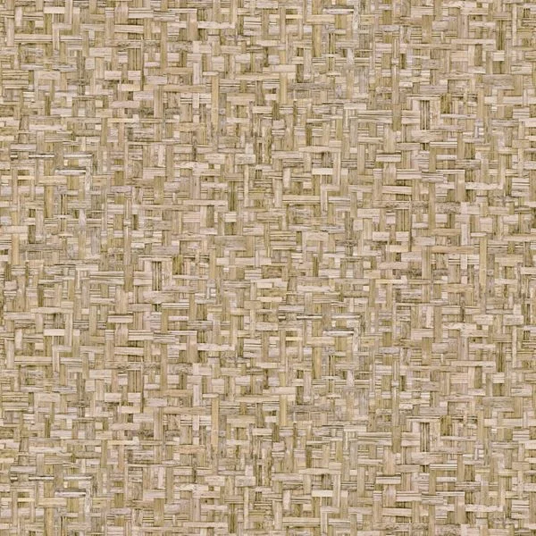 bricoflor20260612231307184912