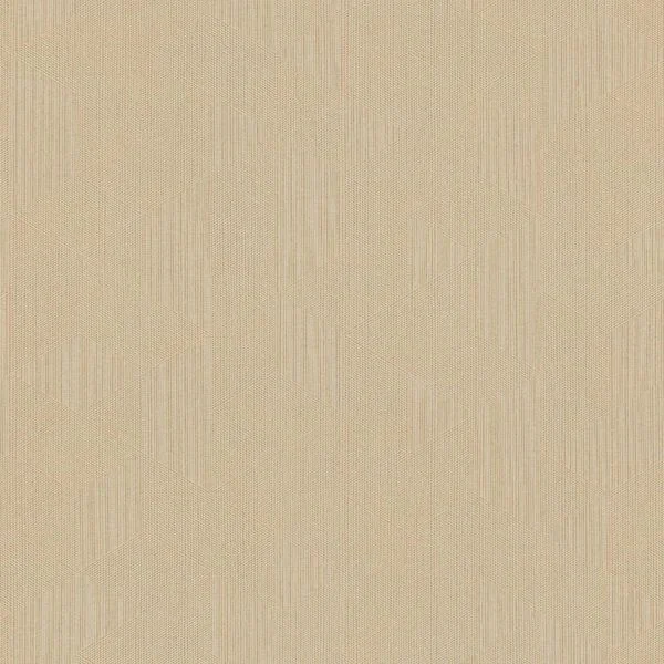 bricoflor20260613004322199985