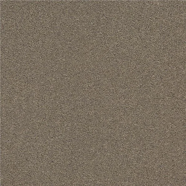 bricoflor20260613005205201363