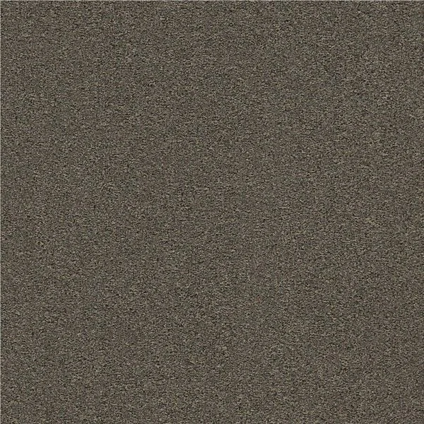 bricoflor20260613005215201387