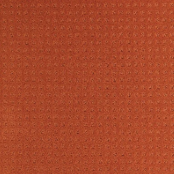 bricoflor20260613025713215924