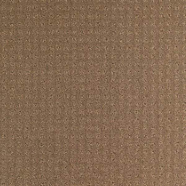 bricoflor20260613025717215929