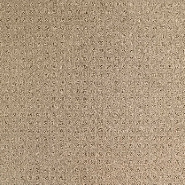 bricoflor20260613025724215943
