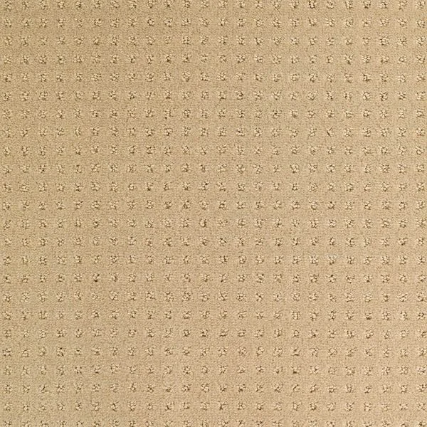 bricoflor20260613025727215948