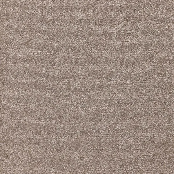 bricoflor20260613030434216738