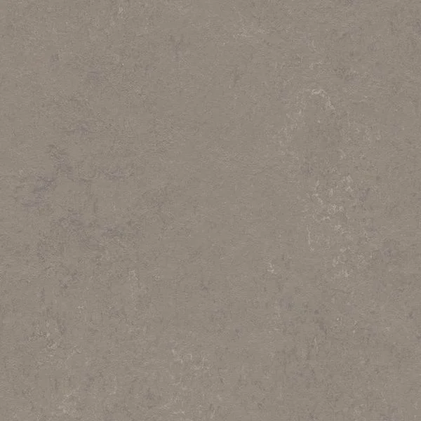 bricoflor20260613030519216827