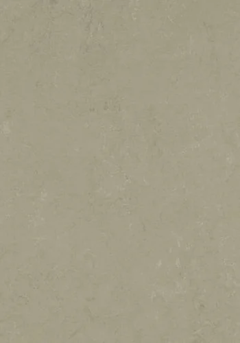 bricoflor20260613030540216867