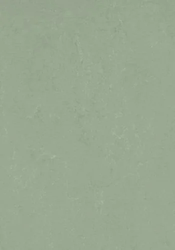bricoflor20260613030542216872