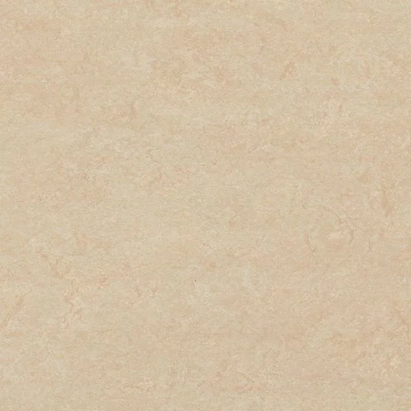 bricoflor20260613030638216977