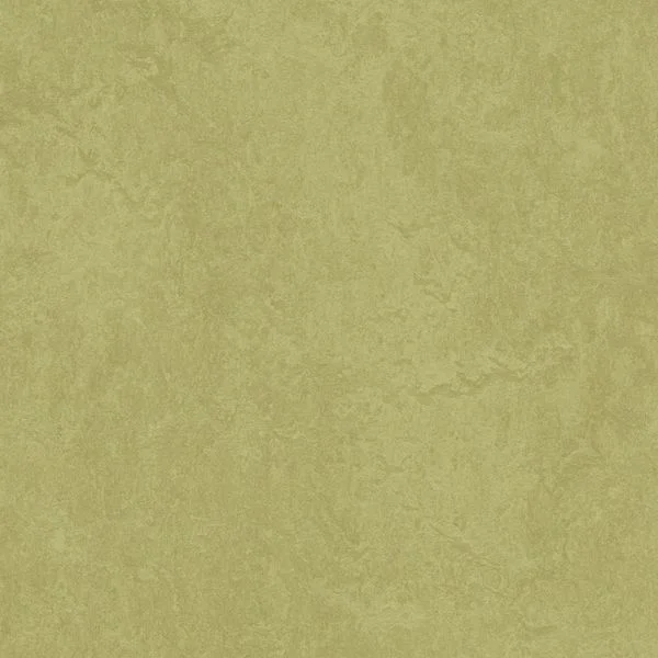 bricoflor20260613030641216982