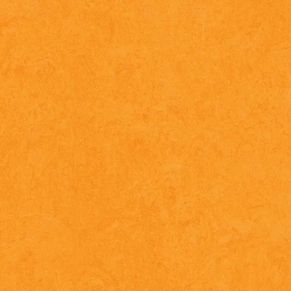 bricoflor20260613030645216989
