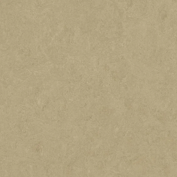 bricoflor20260613030647216995