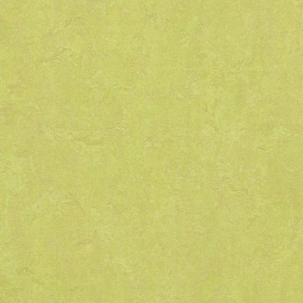 bricoflor20260613030650217000