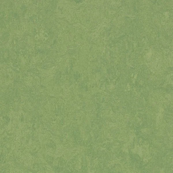 bricoflor20260613030655217010