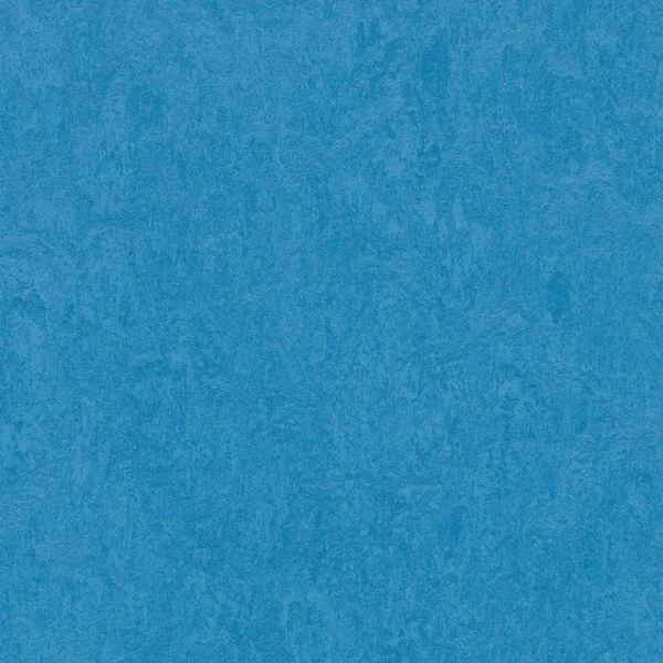 bricoflor20260613030708217036