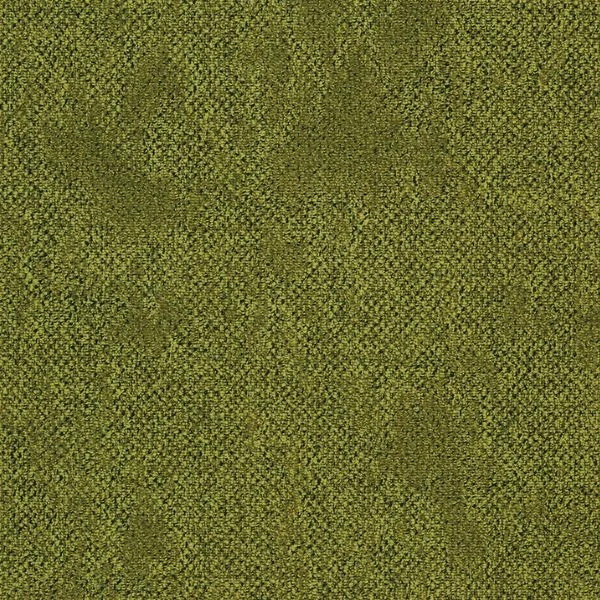 bricoflor20260613030832217185
