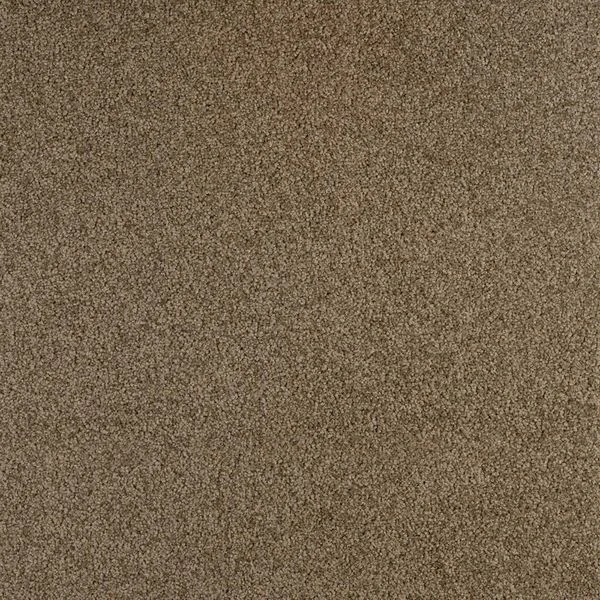 bricoflor20260613030848217214
