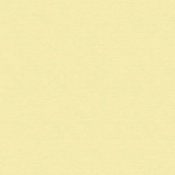 bricoflor20260613031128217519