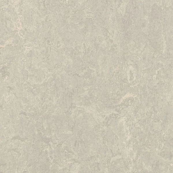 bricoflor20260613032726219177