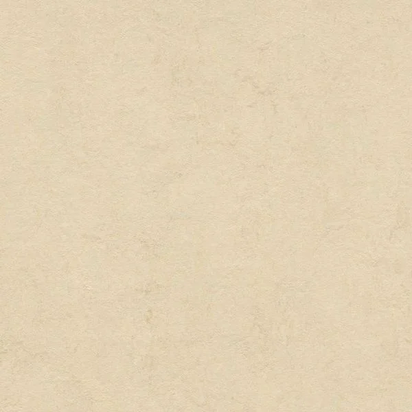 bricoflor20260613032747219210