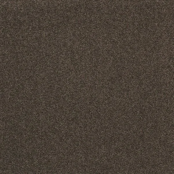 bricoflor20260613033543220022