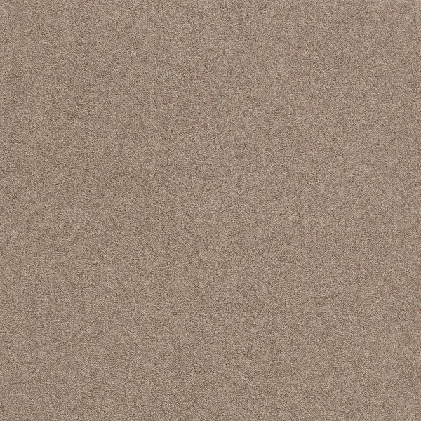 bricoflor20260613033543220023