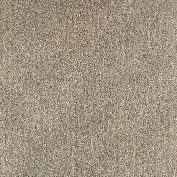 bricoflor20260613034215220692