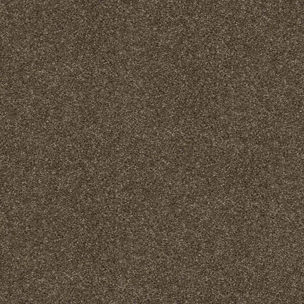 bricoflor20260613034348220857