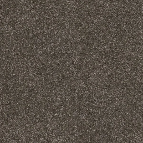 bricoflor20260613034351220861