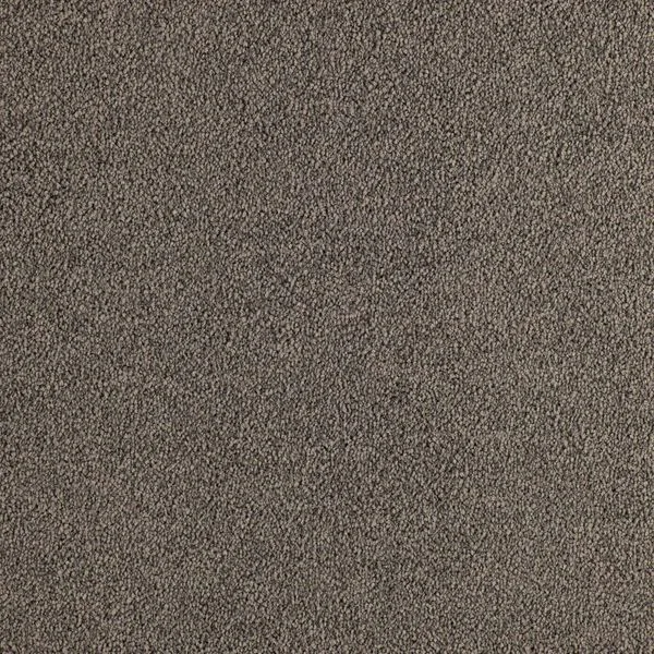 bricoflor20260613034857221373
