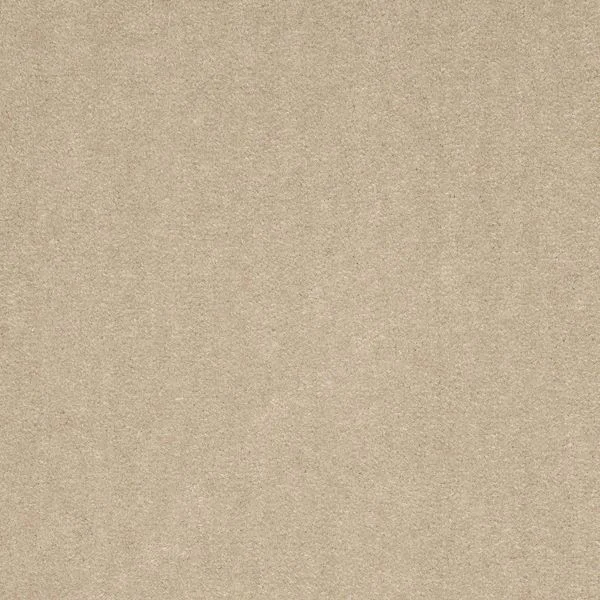 bricoflor20260613034948221462