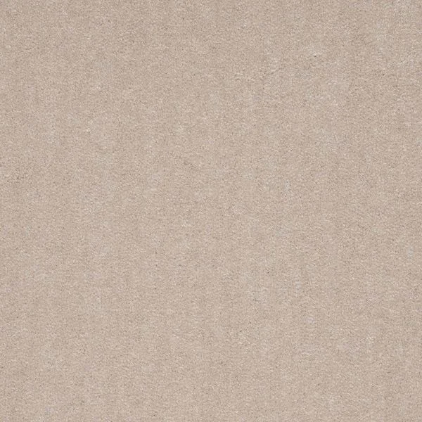 bricoflor20260613034951221465