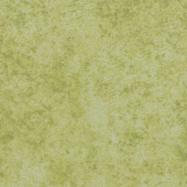bricoflor20260613035128221646