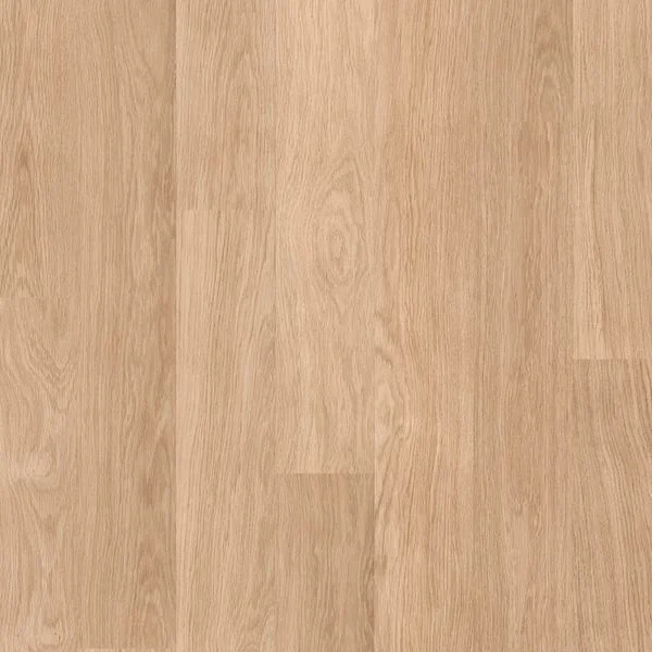 bricoflor20260613043230225955