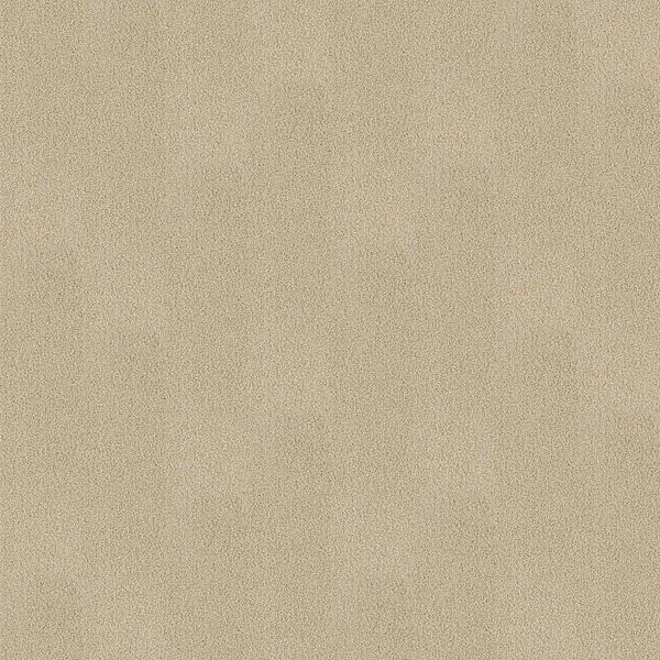 bricoflor20260613050514228982