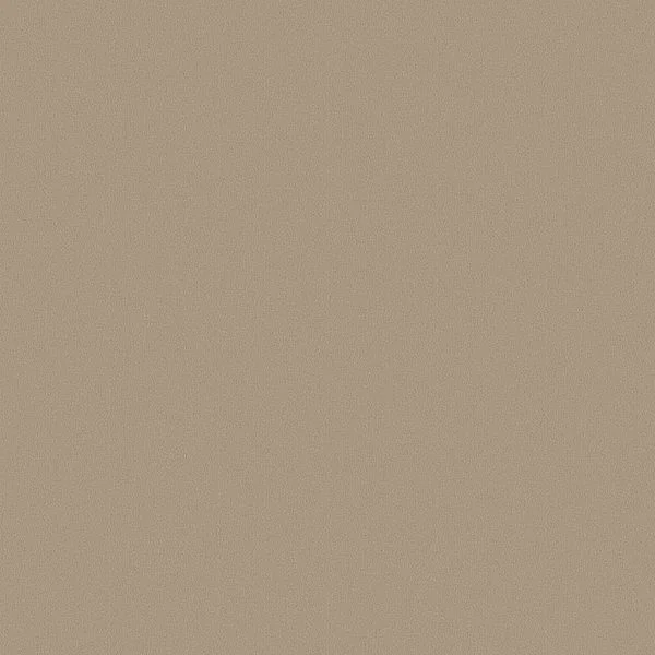 bricoflor20260613051051229500