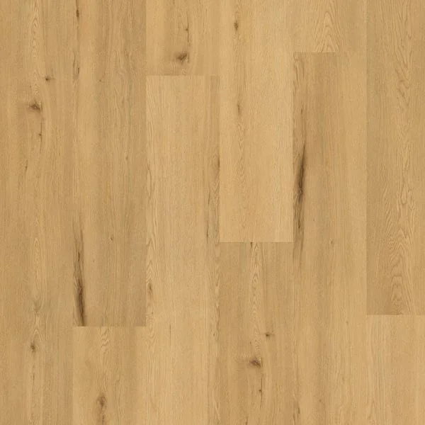 bricoflor20260613052658230811