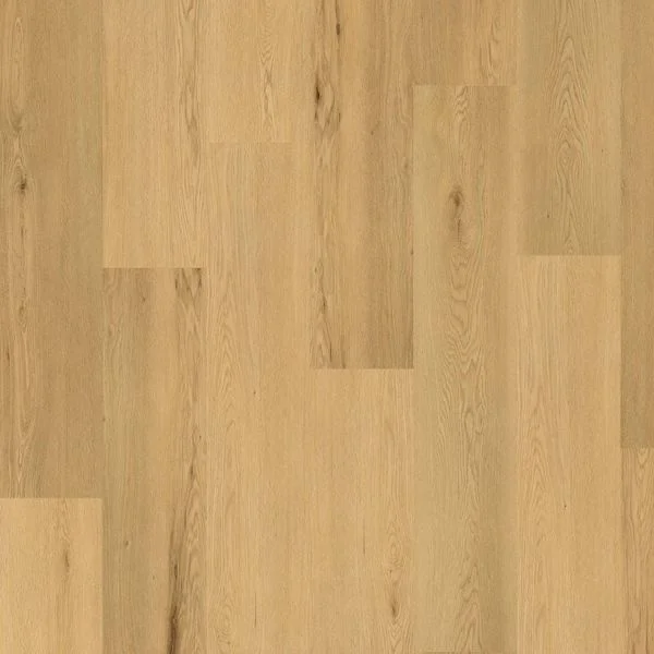 bricoflor20260613052729230864