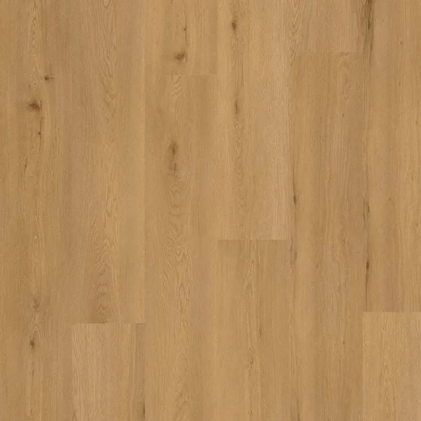 bricoflor20260613052748230899