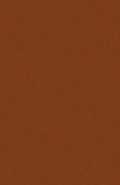 bricoflor20260613060313234678