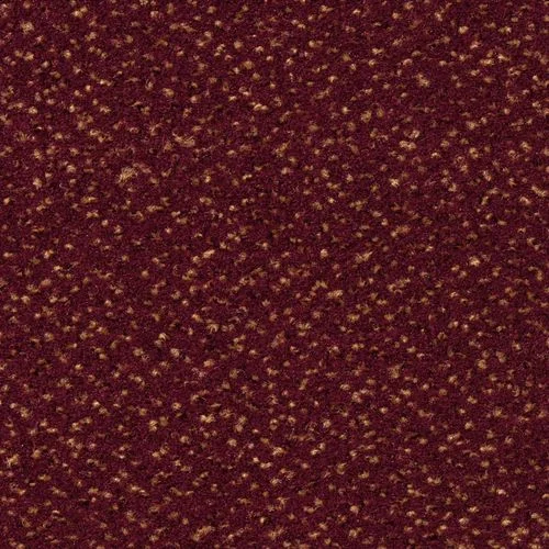 bricoflor20260613060335234709