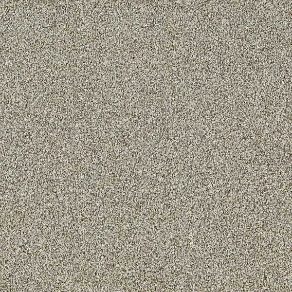 bricoflor20260613061157235543